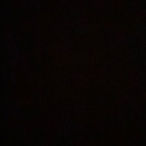 Meet your Posher, Gabby